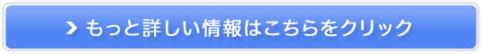 v`itbV̔TCg